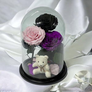 3 Trandafiri Criogenati mari, negru, roz, purpuriu, cupola ursulet - Trandafir-Criogenat.ro