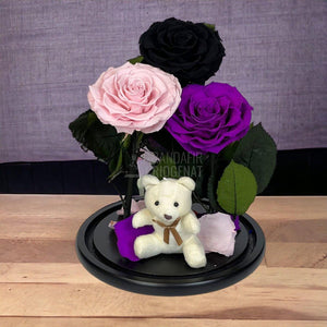 3 Trandafiri Criogenati mari, negru, roz, purpuriu, cupola ursulet - Trandafir-Criogenat.ro