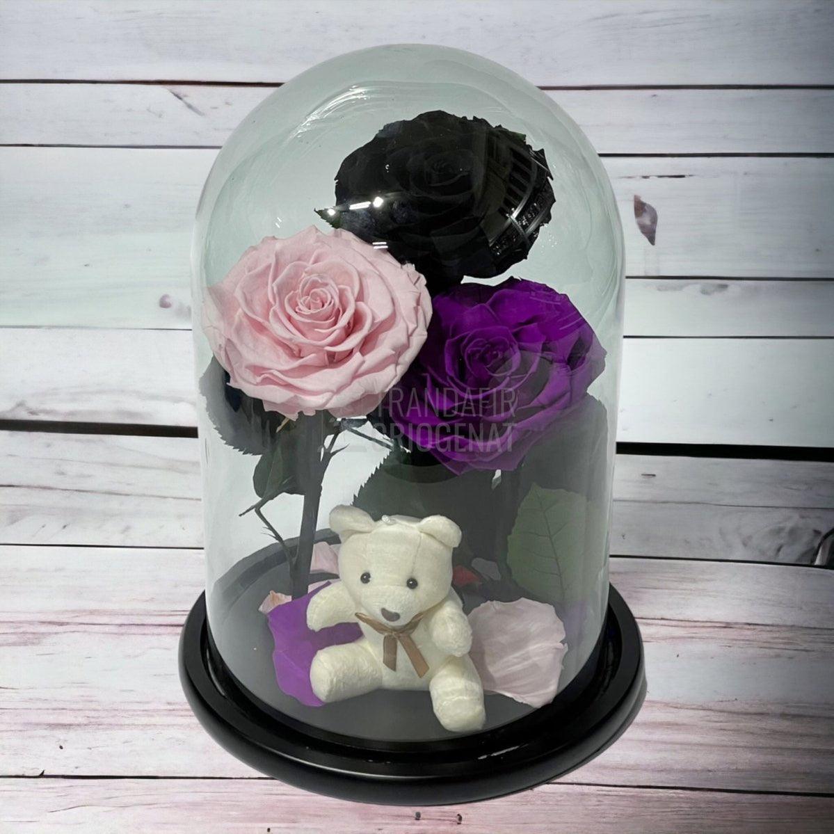 3 Trandafiri Criogenati mari, negru, roz, purpuriu, cupola ursulet - Trandafir-Criogenat.ro