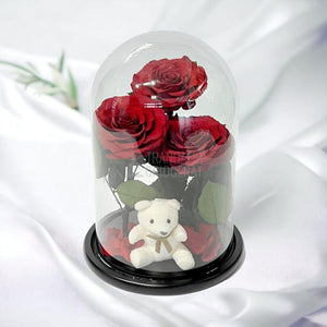 3 Trandafiri Criogenati mari rosii in cupola sticla, cu ursulet - Trandafir-Criogenat.ro