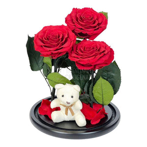3 Trandafiri Criogenati mari rosii in cupola sticla, cu ursulet - Trandafir-Criogenat.ro