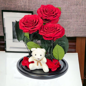 3 Trandafiri Criogenati mari rosii in cupola sticla, cu ursulet - Trandafir-Criogenat.ro