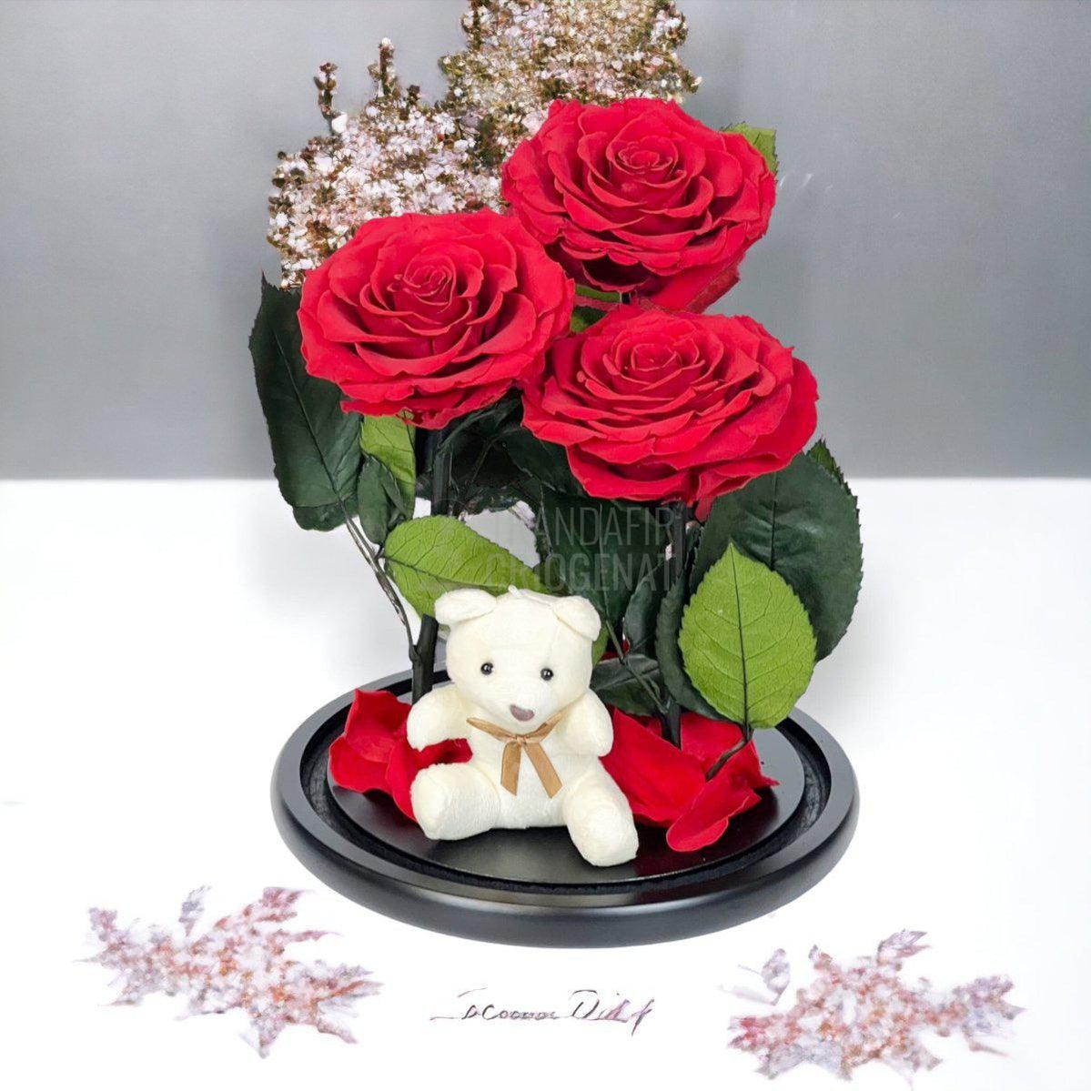 3 Trandafiri Criogenati mari rosii in cupola sticla, cu ursulet - Trandafir-Criogenat.ro