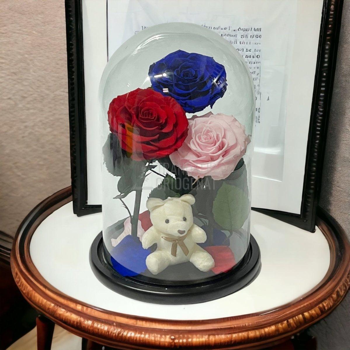 3 Trandafiri Criogenati mari, rosu, albastru, roz, cupola ursulet - Trandafir-Criogenat.ro