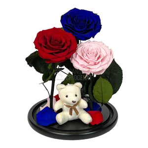 3 Trandafiri Criogenati mari, rosu, albastru, roz, cupola ursulet - Trandafir-Criogenat.ro