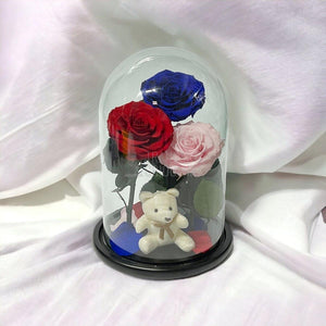 3 Trandafiri Criogenati mari, rosu, albastru, roz, cupola ursulet - Trandafir-Criogenat.ro