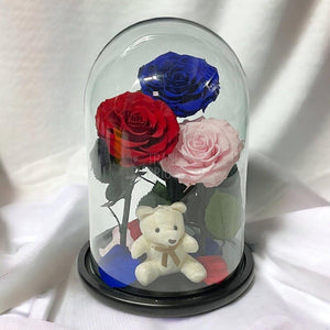 3 Trandafiri Criogenati mari, rosu, albastru, roz, cupola ursulet - Trandafir-Criogenat.ro