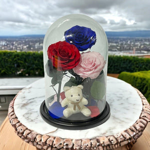 3 Trandafiri Criogenati mari, rosu, albastru, roz, cupola ursulet - Trandafir-Criogenat.ro