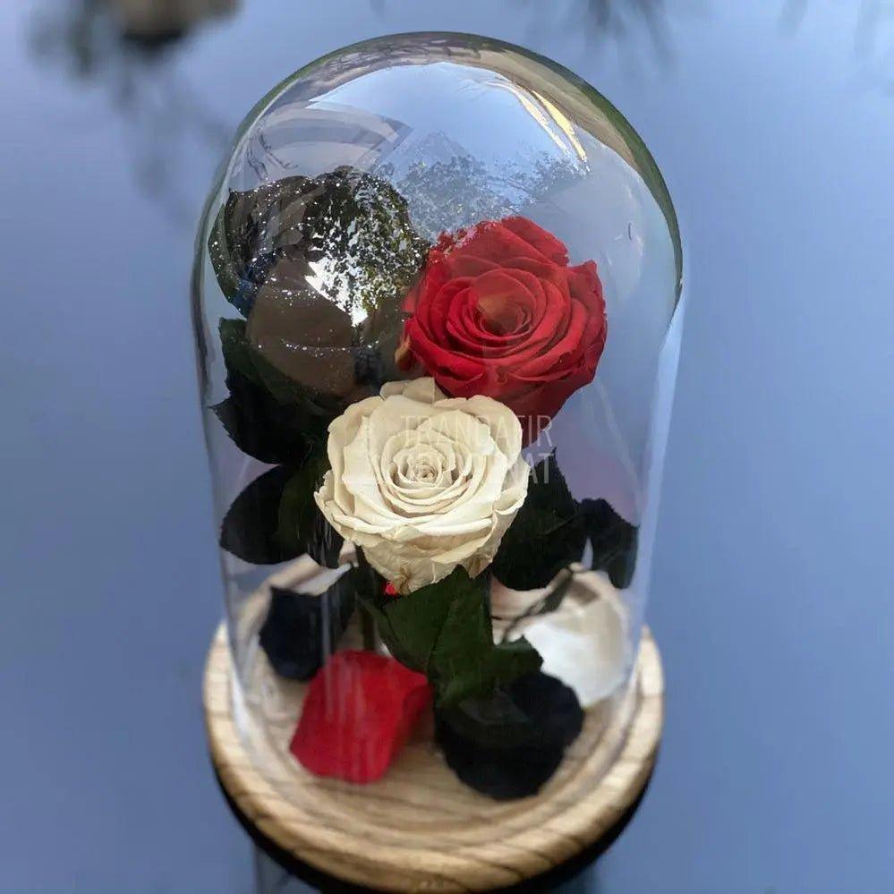 3 Trandafiri Criogenati negru, rosu, alb Ø6,5cm 15x25cm - Trandafir-Criogenat.ro