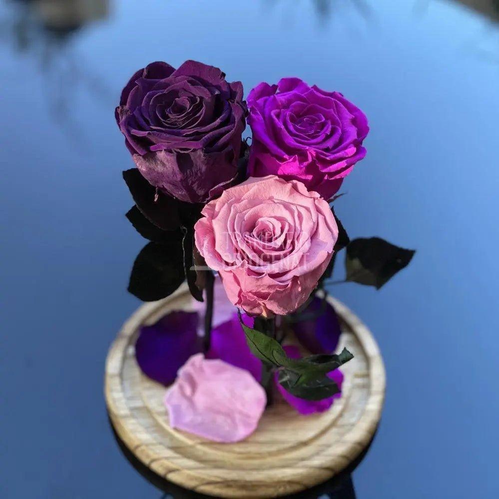3 Trandafiri Criogenati purpuriu-mov Ø6,5cm in cupola 15x25cm - Trandafir-Criogenat.ro