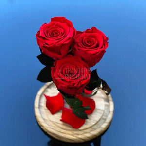 3 Trandafiri Criogenati rosii Ø6,5cm in cupola de sticla 15x25cm - Trandafir-Criogenat.ro