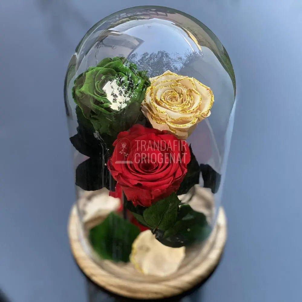 3 Trandafiri Criogenati verde, rosu, crem Ø6,5cm 15x25cm - Trandafir-Criogenat.ro