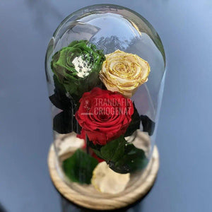 3 Trandafiri Criogenati verde, rosu, crem Ø6,5cm 15x25cm - Trandafir-Criogenat.ro