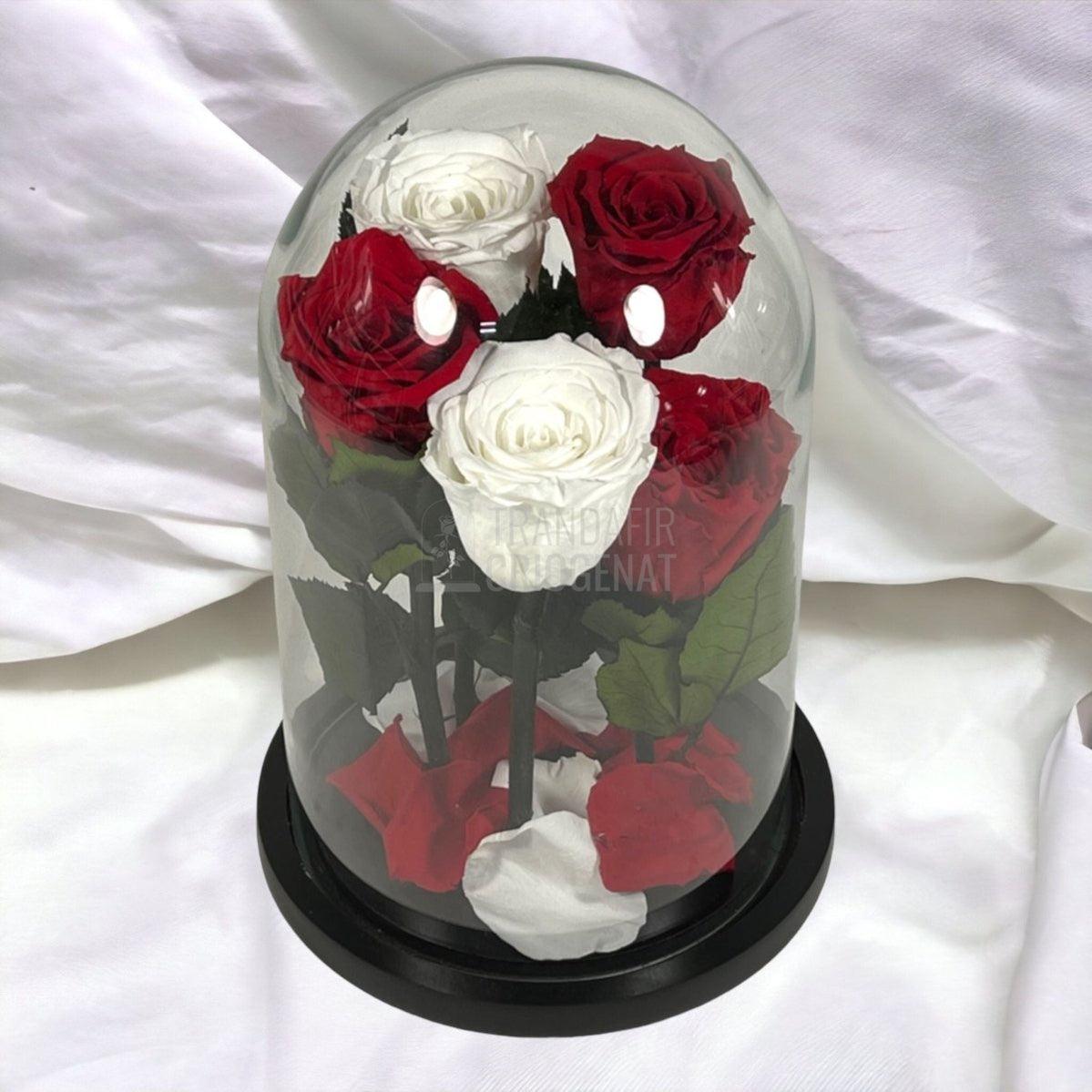 5 Trandafiri Criogenati 3 rosii, 2 albi (orice mix de culori la alegere) - Trandafir-Criogenat.ro