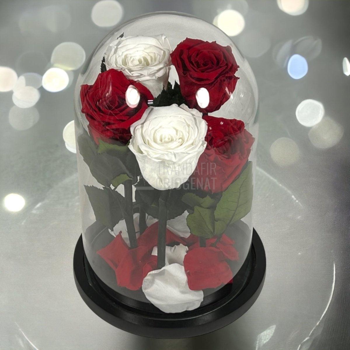 5 Trandafiri Criogenati 3 rosii, 2 albi (orice mix de culori la alegere) - Trandafir-Criogenat.ro