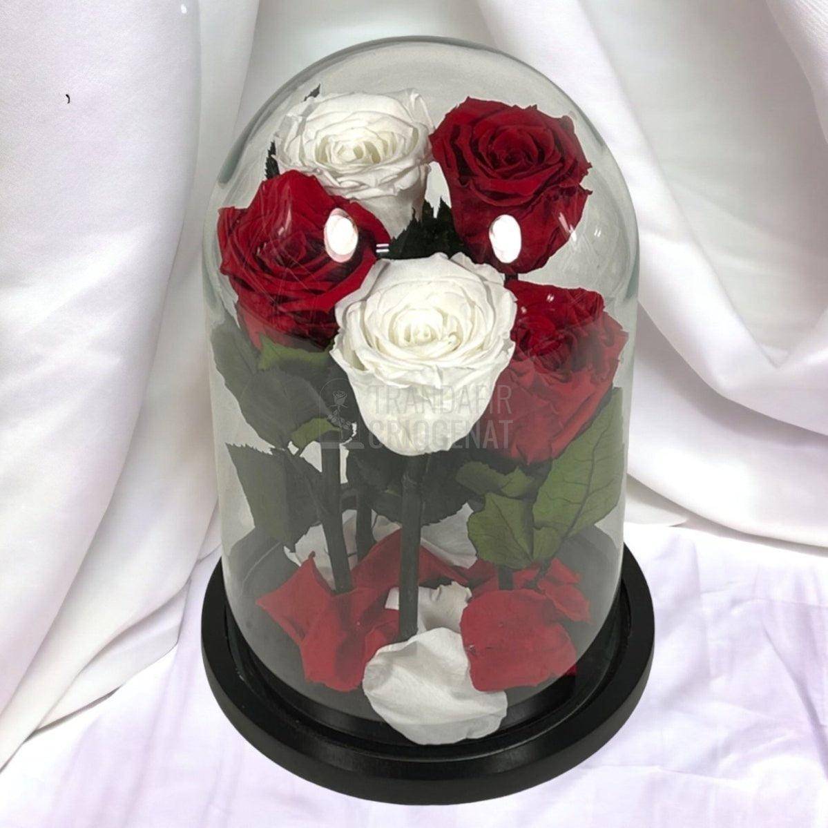 5 Trandafiri Criogenati 3 rosii, 2 albi (orice mix de culori la alegere) - Trandafir-Criogenat.ro