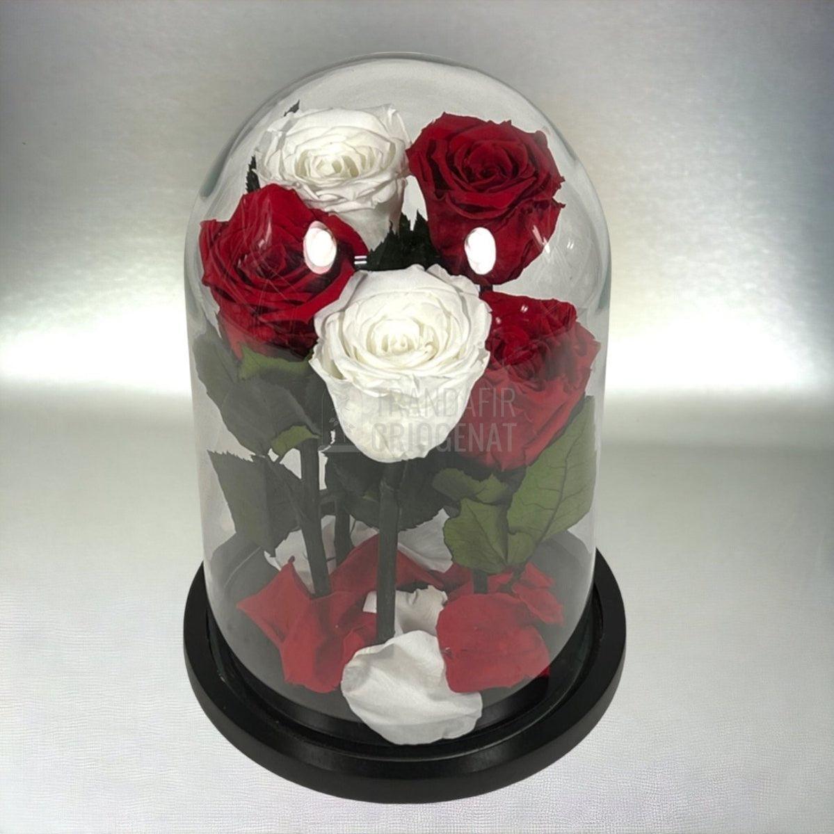 5 Trandafiri Criogenati 3 rosii, 2 albi (orice mix de culori la alegere) - Trandafir-Criogenat.ro