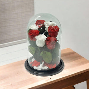 7 Trandafiri Criogenati 4 rosii, 3 albi (orice mix de culori la alegere) - Trandafir-Criogenat.ro