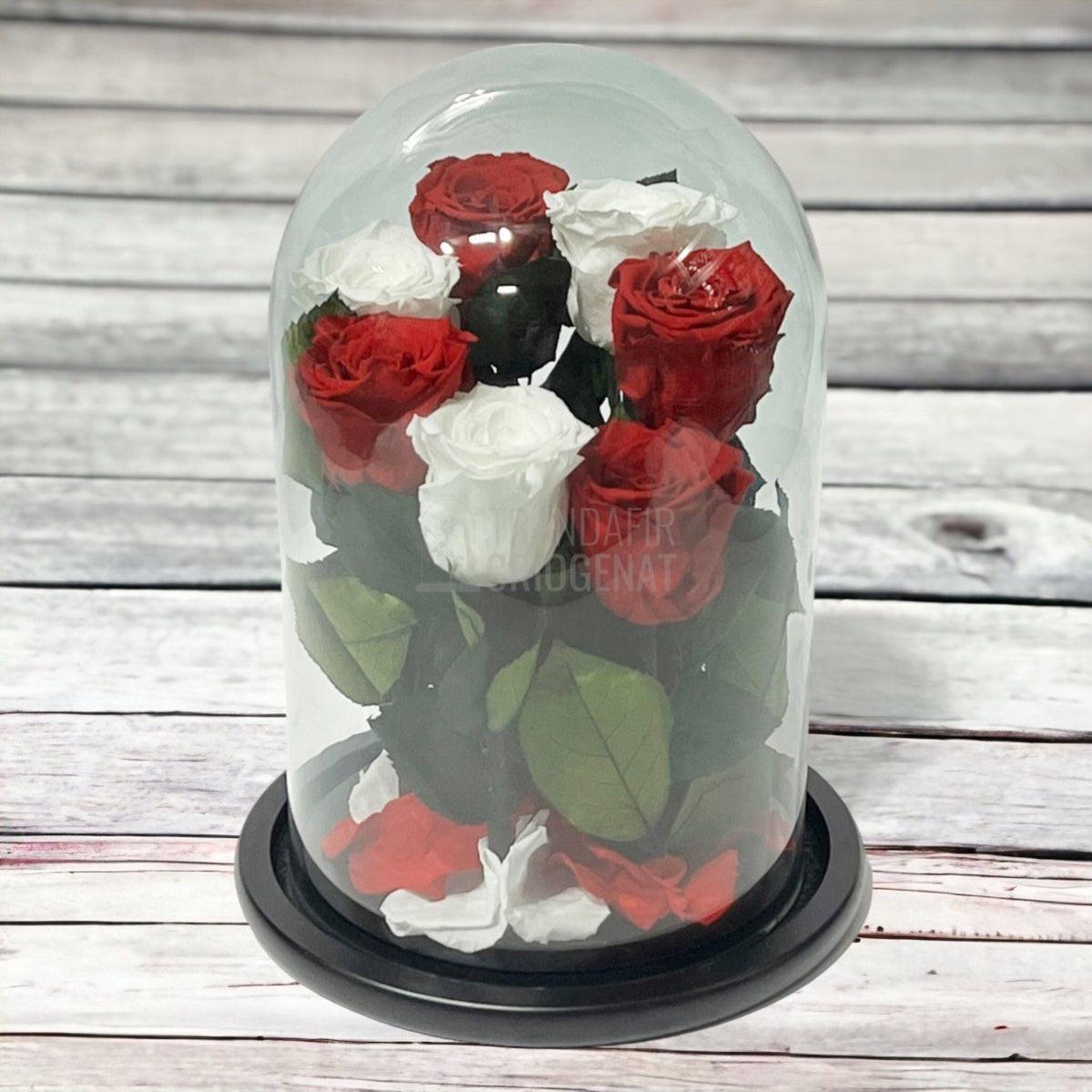 7 Trandafiri Criogenati 4 rosii, 3 albi (orice mix de culori la alegere) - Trandafir-Criogenat.ro