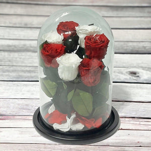 7 Trandafiri Criogenati 4 rosii, 3 albi (orice mix de culori la alegere) - Trandafir-Criogenat.ro