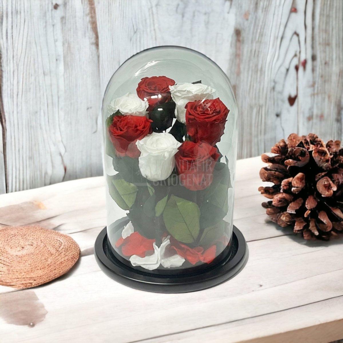 7 Trandafiri Criogenati 4 rosii, 3 albi (orice mix de culori la alegere) - Trandafir-Criogenat.ro