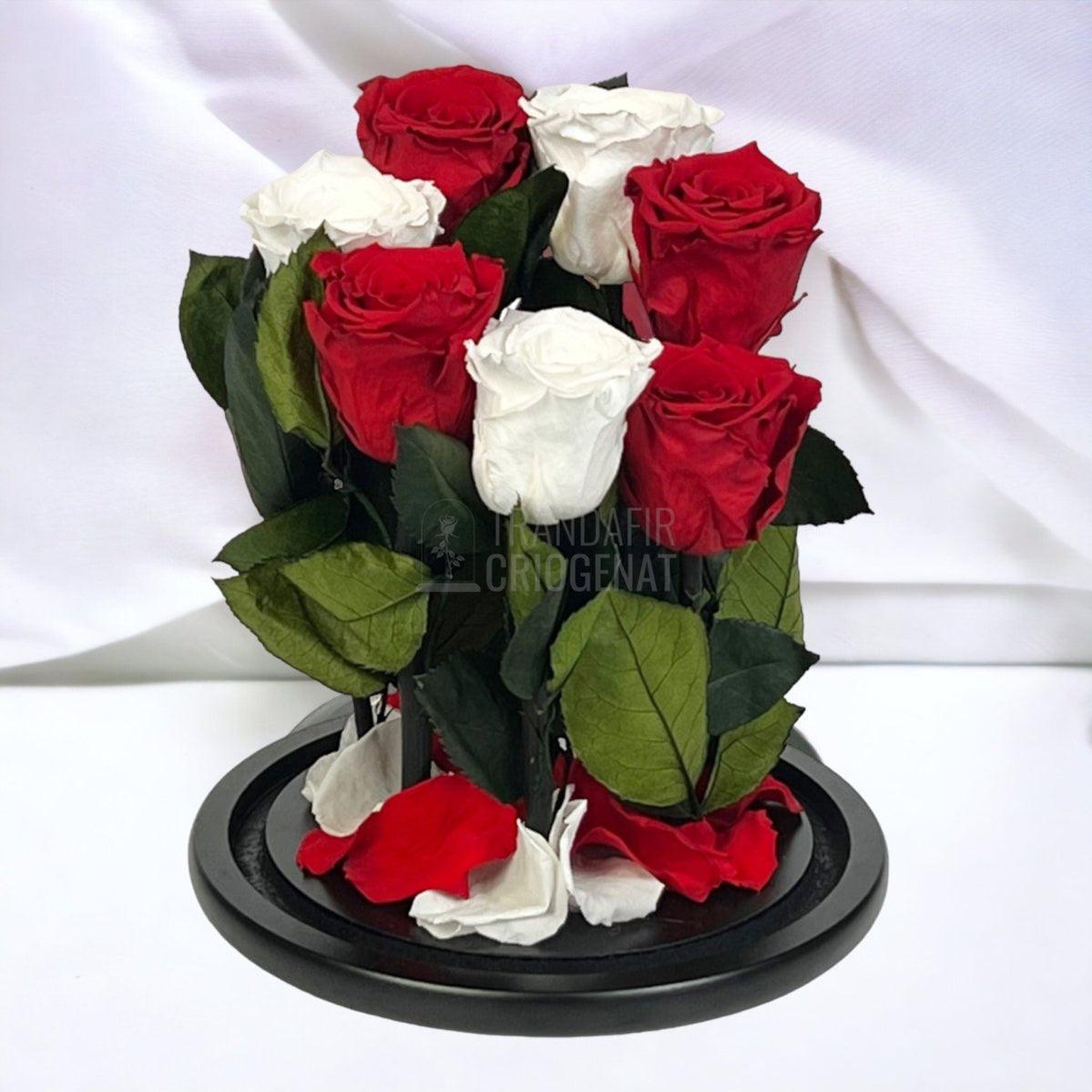 7 Trandafiri Criogenati 4 rosii, 3 albi (orice mix de culori la alegere) - Trandafir-Criogenat.ro