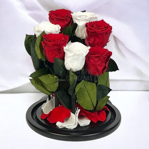 7 Trandafiri Criogenati 4 rosii, 3 albi (orice mix de culori la alegere) - Trandafir-Criogenat.ro