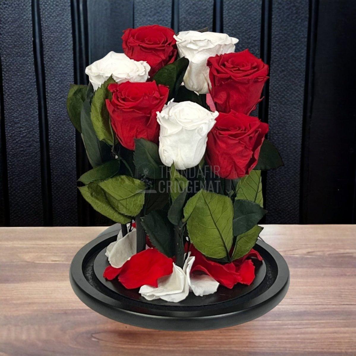 7 Trandafiri Criogenati 4 rosii, 3 albi (orice mix de culori la alegere) - Trandafir-Criogenat.ro