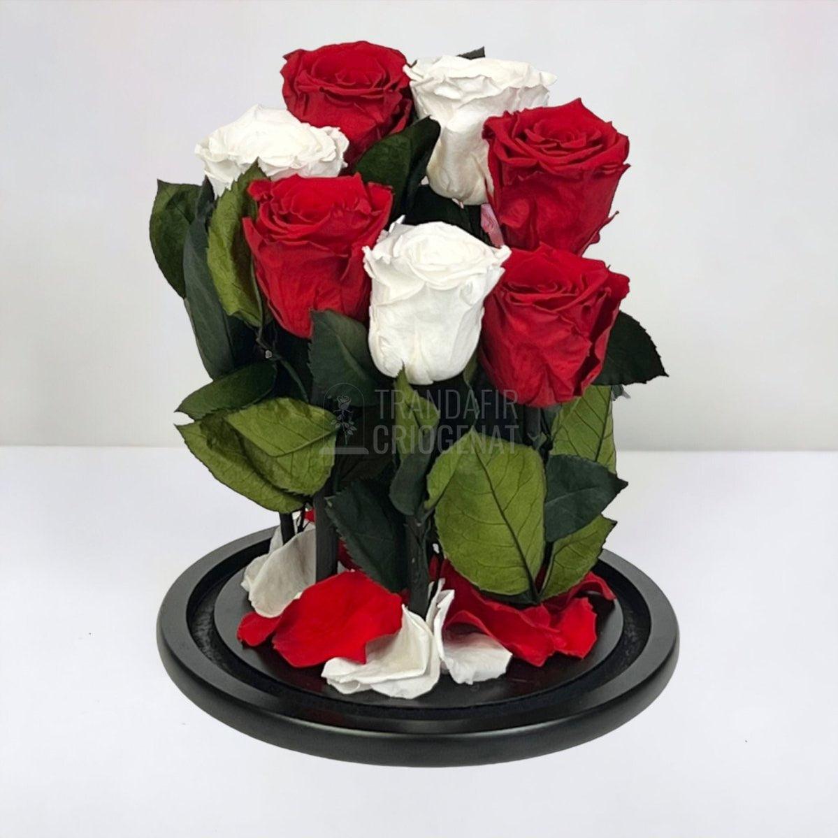 7 Trandafiri Criogenati 4 rosii, 3 albi (orice mix de culori la alegere) - Trandafir-Criogenat.ro