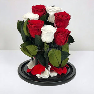 7 Trandafiri Criogenati 4 rosii, 3 albi (orice mix de culori la alegere) - Trandafir-Criogenat.ro