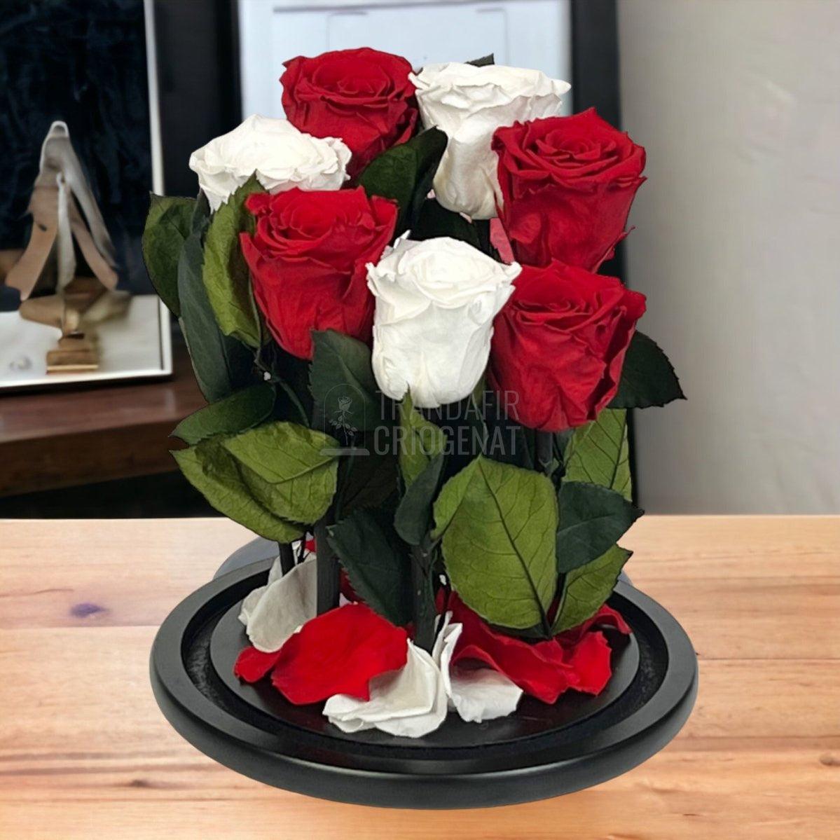 7 Trandafiri Criogenati 4 rosii, 3 albi (orice mix de culori la alegere) - Trandafir-Criogenat.ro