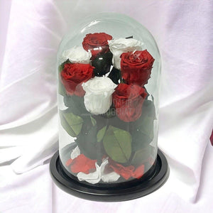 7 Trandafiri Criogenati 4 rosii, 3 albi (orice mix de culori la alegere) - Trandafir-Criogenat.ro