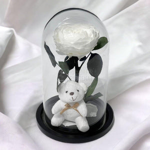 Bujor Criogenat alb Ø10cm in cupola sticla mare cu Ursulet - Trandafir-Criogenat.ro