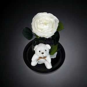 Bujor Criogenat alb Ø10cm in cupola sticla mare cu Ursulet - Trandafir-Criogenat.ro