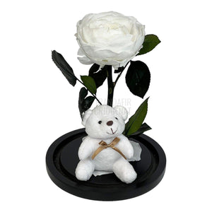 Bujor Criogenat alb Ø10cm in cupola sticla mare cu Ursulet - Trandafir-Criogenat.ro