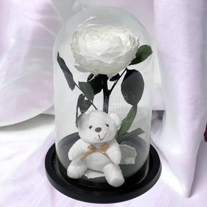 Bujor Criogenat alb Ø10cm in cupola sticla mare cu Ursulet - Trandafir-Criogenat.ro