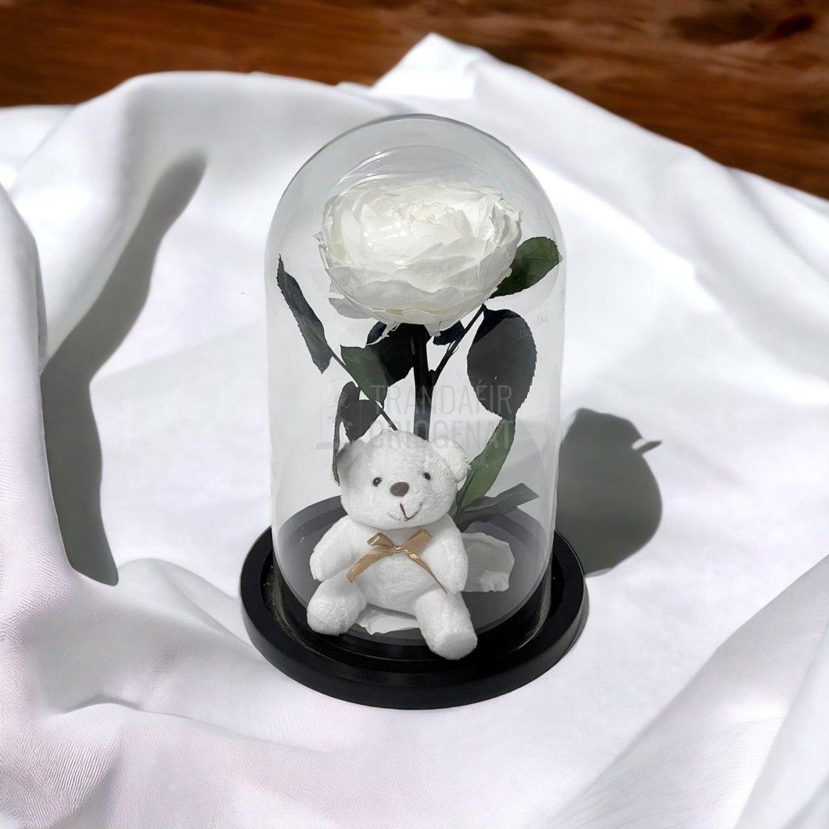 Bujor Criogenat alb Ø10cm in cupola sticla mare cu Ursulet - Trandafir-Criogenat.ro