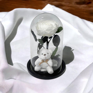 Bujor Criogenat alb Ø10cm in cupola sticla mare cu Ursulet - Trandafir-Criogenat.ro