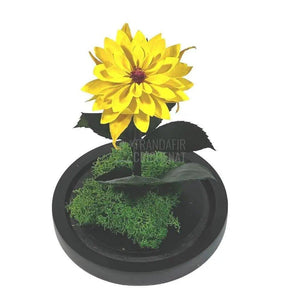 Dalia Criogenata galbena in cupola de sticla, cu mesaj - Trandafir-Criogenat.ro