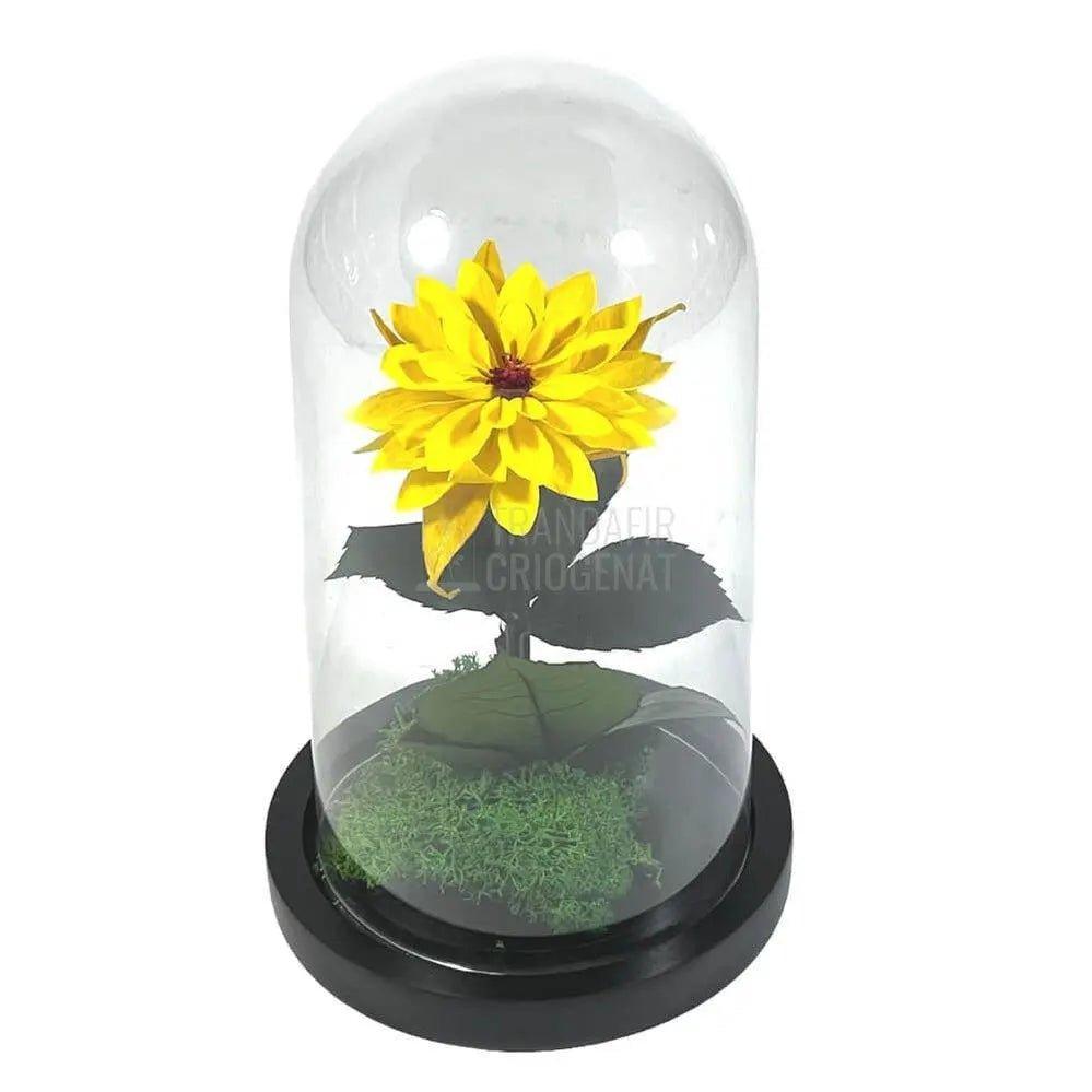 Dalia Criogenata galbena in cupola de sticla, cu mesaj - Trandafir-Criogenat.ro