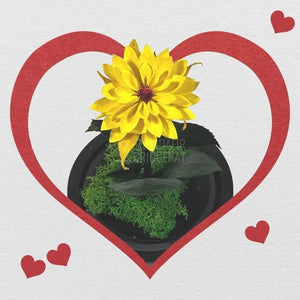 Dalia Criogenata galbena in cupola de sticla, cu mesaj - Trandafir-Criogenat.ro