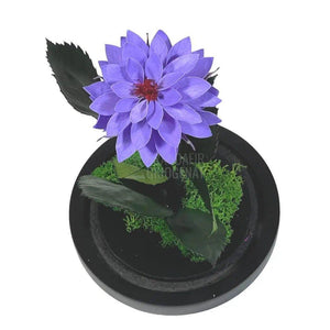 Dalia Criogenata mov in cupola de sticla, cu mesaj - Trandafir-Criogenat.ro