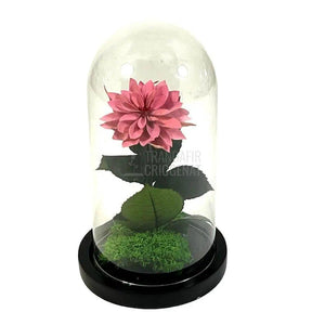 Dalia Criogenata mov-pudrat in cupola de sticla, cu mesaj - Trandafir-Criogenat.ro