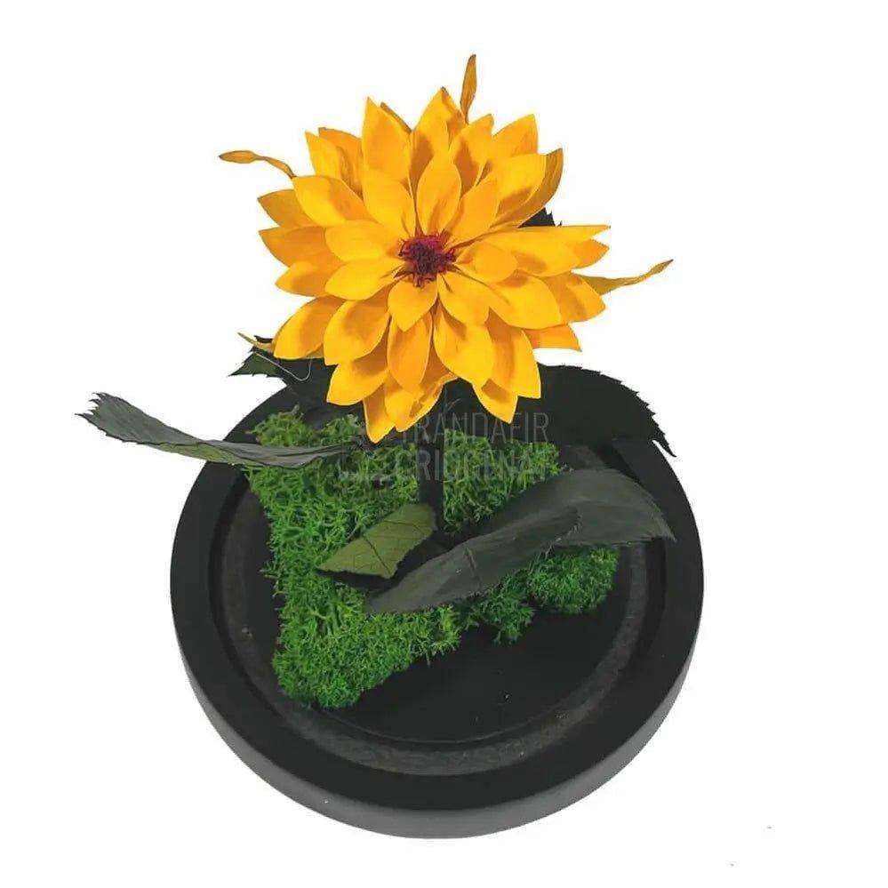 Dalia Criogenata portocalie in cupola de sticla, cu mesaj - Trandafir-Criogenat.ro