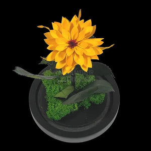 Dalia Criogenata portocalie in cupola de sticla, cu mesaj - Trandafir-Criogenat.ro