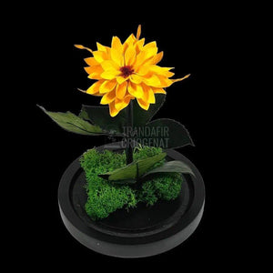 Dalia Criogenata portocalie in cupola de sticla, cu mesaj - Trandafir-Criogenat.ro