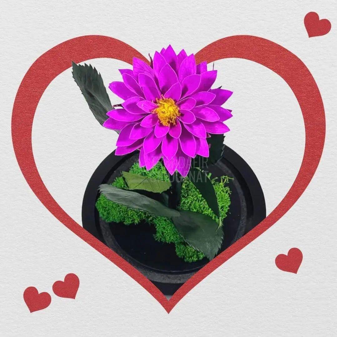 Dalia Criogenata purpuriu in cupola de sticla, cu mesaj - Trandafir-Criogenat.ro