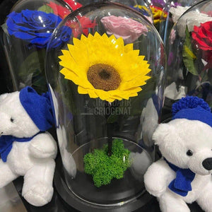 Floarea Soarelui Criogenata diametru 10-12cm in cupola de sticla - Trandafir-Criogenat.ro