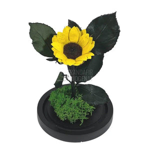 Floarea Soarelui Criogenata Ø6cm in cupola sticla 10x20cm - Trandafir-Criogenat.ro