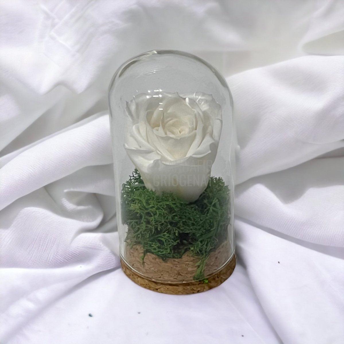 Trandafir Criogenat alb in cupola sticla 5x9,5cm (marturie) - Trandafir-Criogenat.ro